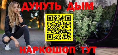 крисы Чебоксары