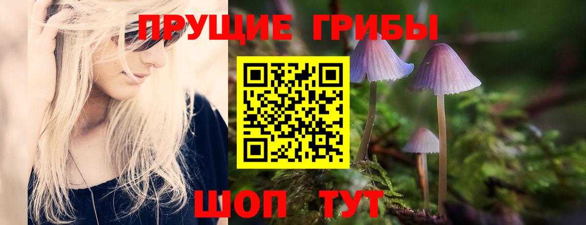 Галлюциногенные грибы MAGIC MUSHROOMS  наркота  Волжск  Вход с VPN 